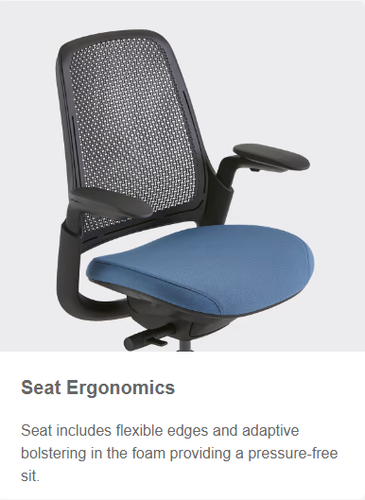 Silla de Oficina Steelcase Serie 1 Nueva - Respaldo de Aire - Marco de Gaviota - Imagen 6 de 14