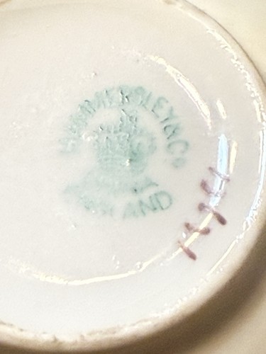 Antigua taza de té vintage pintada a mano platillo roto hueso China Inglaterra Hammersley - Imagen 6 de 8