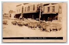 RACINE Minnesota RPPC MN ~ Pig farmer hogs on MAIN Street Mower County