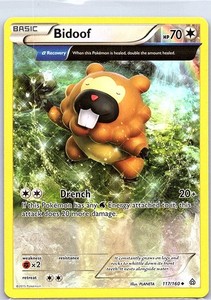 Bidoof 117/160 Non Holo XY - Primal Clash - Pokemon Card - NM