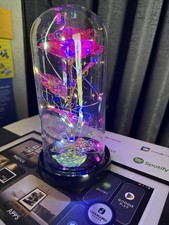Rose of Love Artificial Rose LED Glass Dome Arrangement, Pink Multicolor