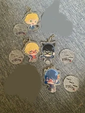 Miraculous Ladybug & Cat Noir Acrylic Stand Charadori Collectible