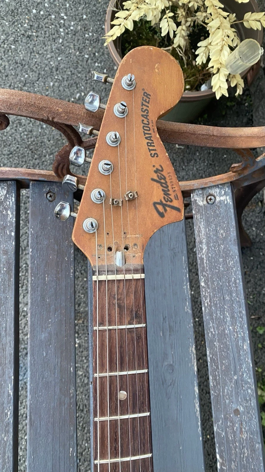 Picture 6 of 11