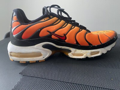 Basket Tn Tn Tiger Enfant Vintage Collector Nike Air Max Plus Tn