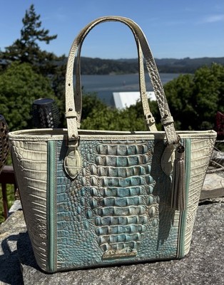 RARE Brahmin Medium Asher Serendipity Schulz Melbourne Tote + tags card & dbag