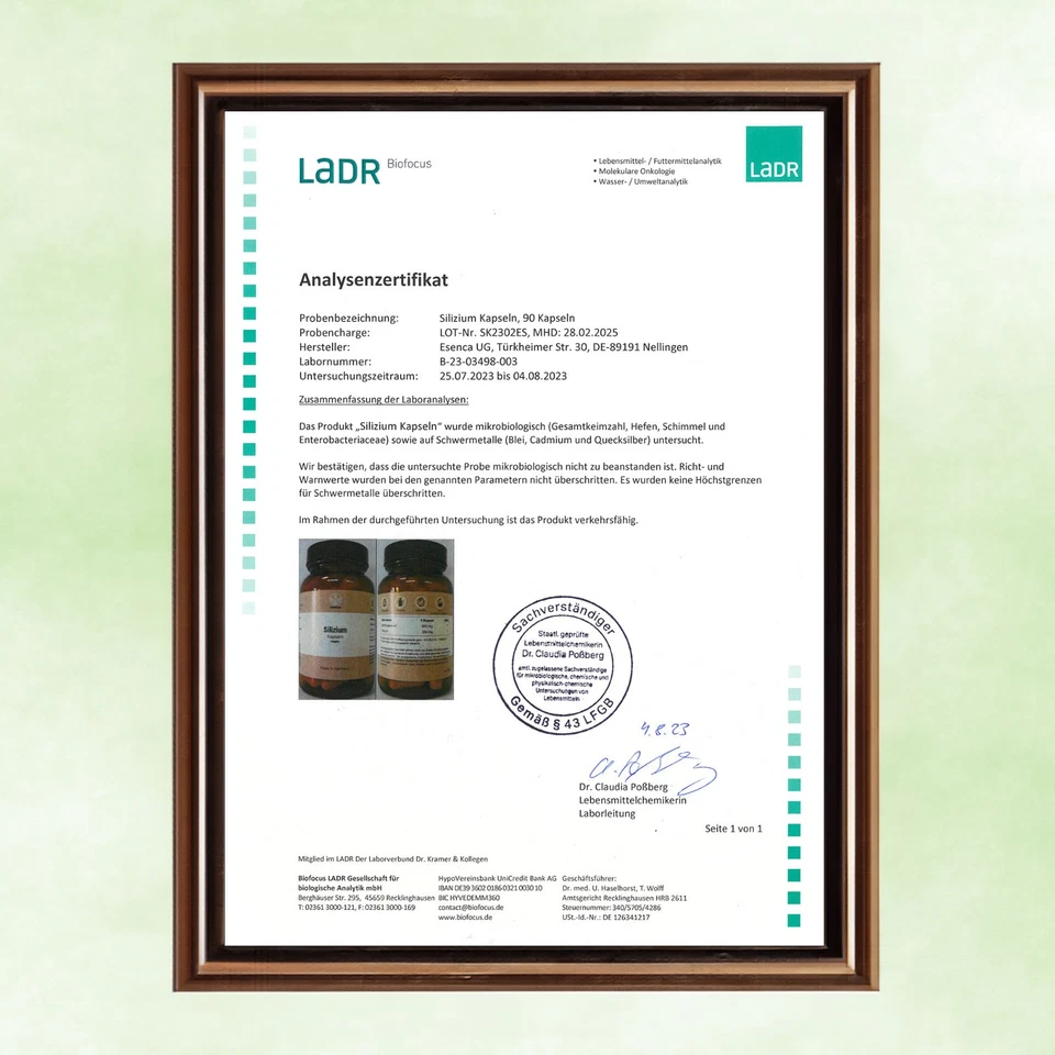 Silizium Kapseln Hochdosiert -120 Stück (240mg) - aus Bambusextrakt - Vegan - Bild 3 von 3