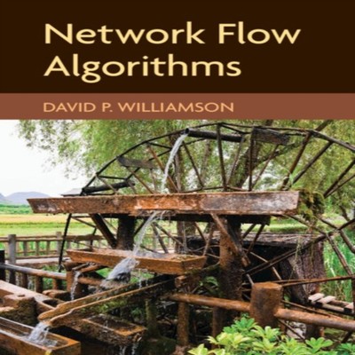 Network Flow Algorithms David P. Williamson Paperback Cambridge U