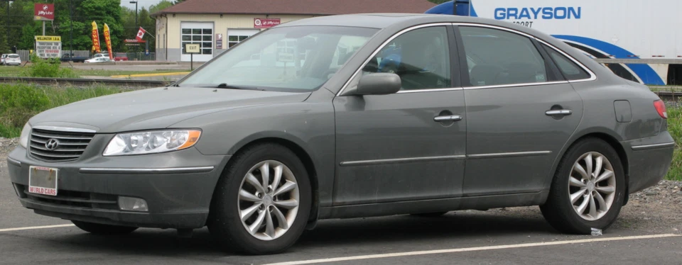 OEM 92860-3L001X6 Interior Middle Room Lamp Grey Ems for Hyundai Azera 2006~2011 - Image 3 of 4