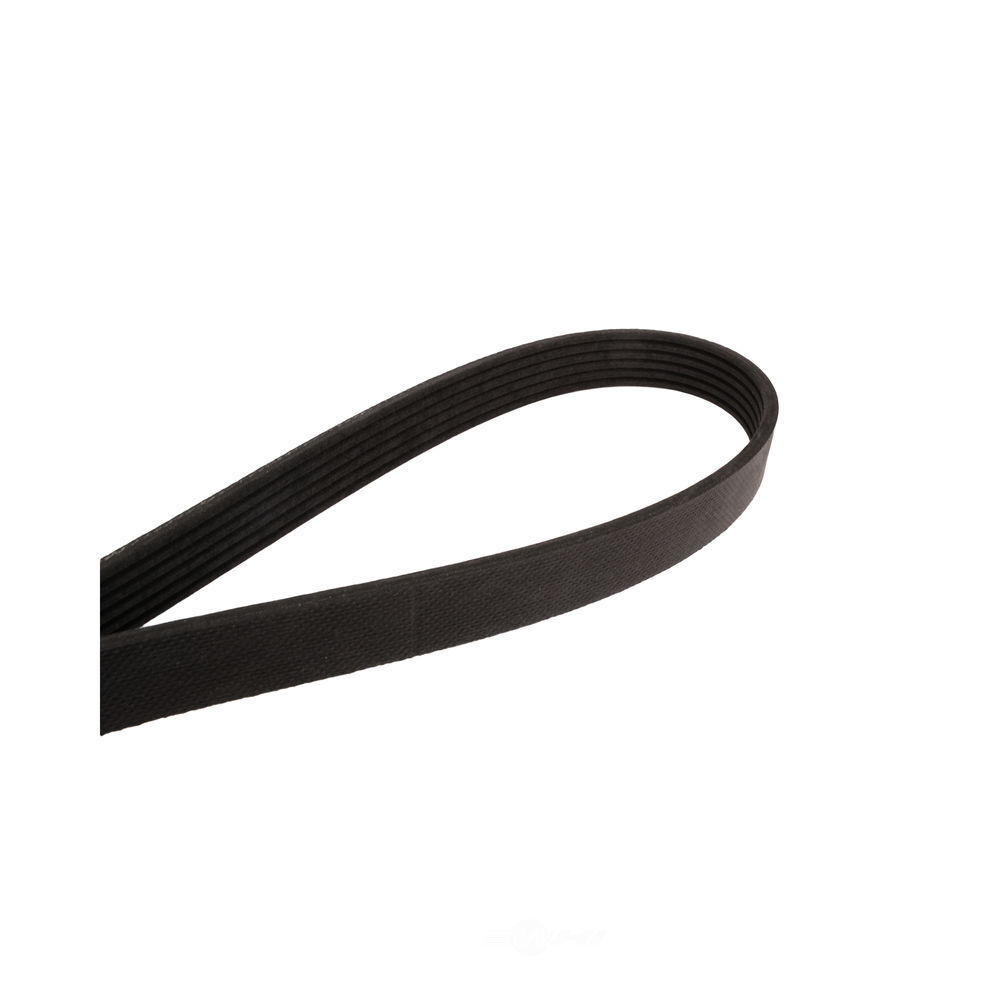 Serpentine Belt Continental Elite 4060344S | eBay