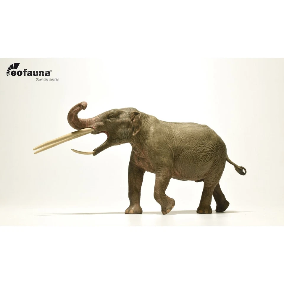 Eofauna Konobelodon atticus Model 1:35 Scale - Modello di elefante preistorico - Immagine 2 di 4