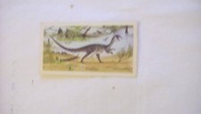 Brooke Bond Picture Card (Prehistoric Animals)No13 Coelophysis