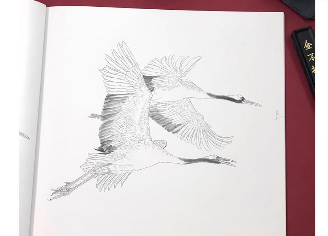 Picture 5 of 7