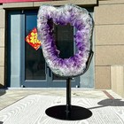 Bild 12 von 14