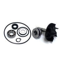 Flickzeug Wasserpumpe Yamaha 530 T-Max