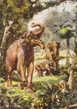 DEINOTHERIUM Prehistoric Animal. Color Print By Z Burian 1963 VF Clean 8x12"