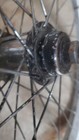 Picture 5 of 6