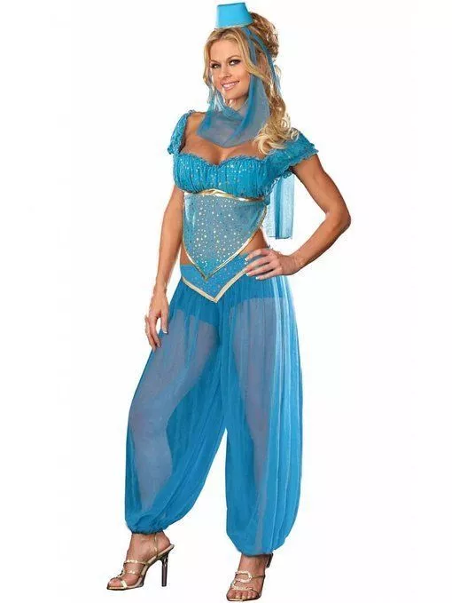 Jasmine Aladdin Harem Girl Genie Fancy Dress Up Halloween Sexy