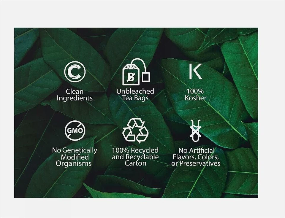 18 чаев Buddha органические неотбеленные чайные пакетики из бузины, без ГМО, кошерные, срок годности 9/27 - Изображение 3 из 4