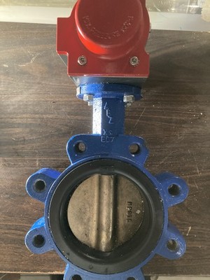 ABZ 5'' Butterfly Valve Lug Style With 80DA  Actuator XS E07 250PSI Ductile Iron