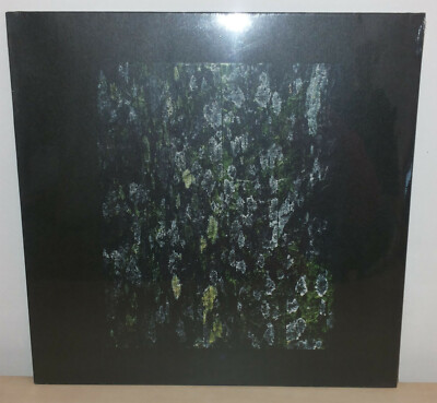 DARK SKY - THE WALKER - KILTER - 12''