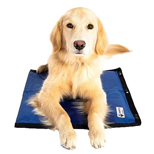 PURRUGS Dirt Trapper Doormat – Super Absorbent, Non-Slip, Machine Washable – 20 X 31.5 Inches - View #10
