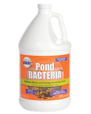 Pondworx Pond Bacteria - Formulated for Large...