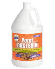 Pondworx Pond Bacteria - Formulated for Large Ponds, Water Features and Safe