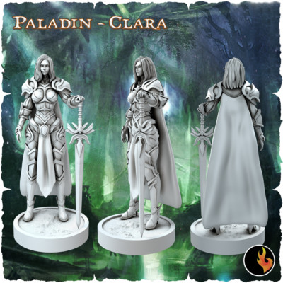 Elf Paladin Miniatur Female Elf Fighter für D&D 5e Pathfinder in 28mm 32mm 75mm