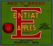 Red E Brand Apple Crate Label - Wenatchee North Central - Entiat Circa 1915