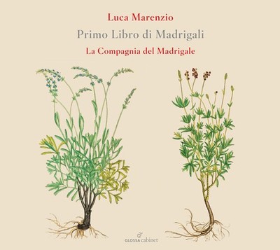 Compagnia Del Madrig - Primo Libro Di Madrigali [New CD]
