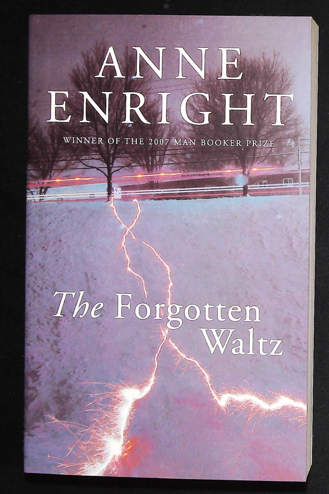Anne Enright The Forgotten Waltz Book NEW Paperback