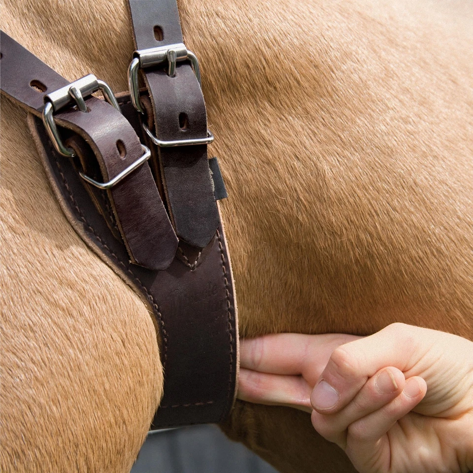 Dispositivo anticunas con cuello milagroso para caballos ajuste mediano de cuero habanero Foto 4 de 4