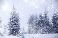 10x8ft Winter Snow Mountain Forest Snowy Trees Photo Background Vinyl Backdrop