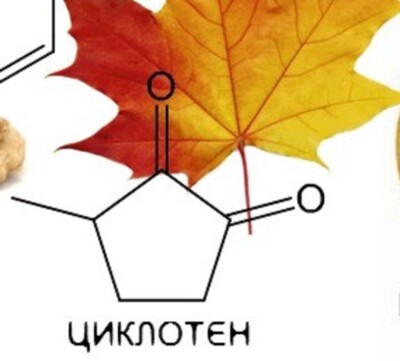 10g Maple lactone, natural, Cyclotene, 99% FG  