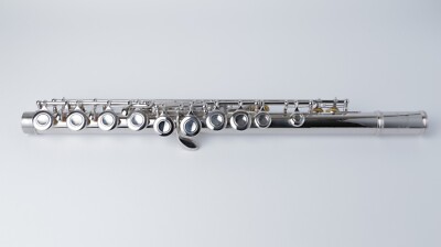 Yamaha YFL225N Flute With Case - Excellent condition | eBay