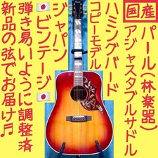 Acoutic Guitar Pearl PF250 Hummingbird Model Sunburst