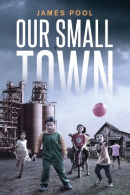 Pool - Our Small Town - New paperback or softback - X555z