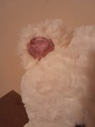 Bild 6 von 8
