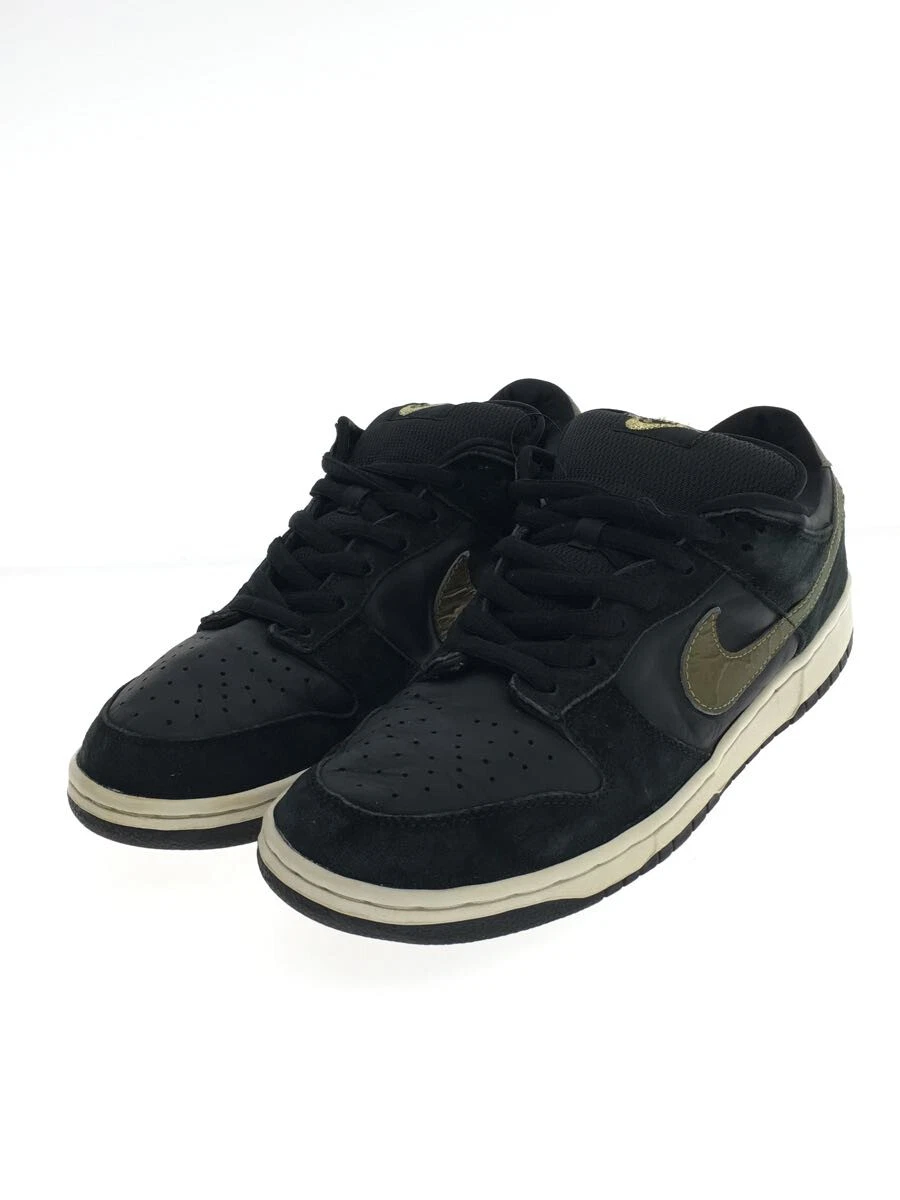 Nike DUNK LOW PRO SB TAKASHI HOSOKAWA 304292-072 29.5cm BLK USED