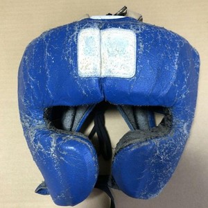 Winning FG 2900 Headgear | eBay
