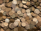 Indian Head Penny/ Cent - Lot of 100 Coins - 1859 thru 1909 - All Dates Readable