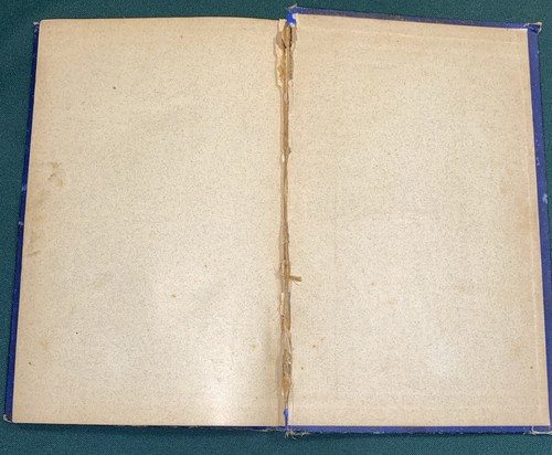 c.1885 ~ The Grand Army of the Republic Blue Book ~ U.S. Civil War History Rules - Foto 11 di 15