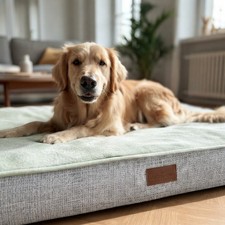 Orthopedic Dog Bed Memory Pet Sleeping Foam Pet Sofa Cushion Removable Cover