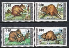 MONGOLIA 1989 FAUNA Animals BEAVERS - MNH
