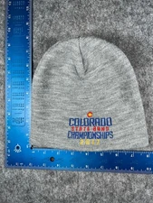 Colorado State Band Championships 2017 Beanie Toque Adult One Size Gray Acrylic