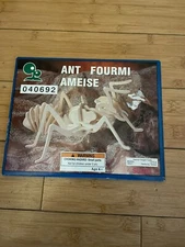 Ant Fourmi Ameise Bug Wooden Model Kit Harbor Freight Tools SC001 #40692 New