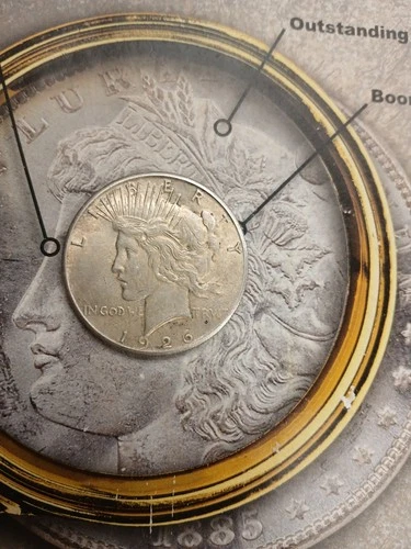 Silver 1926 P  Peace Dollar Good looking coin  TP-9838