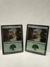 MTG - Forest 0198 (Foil) - Marvel's Spider-Man NM/M Condition