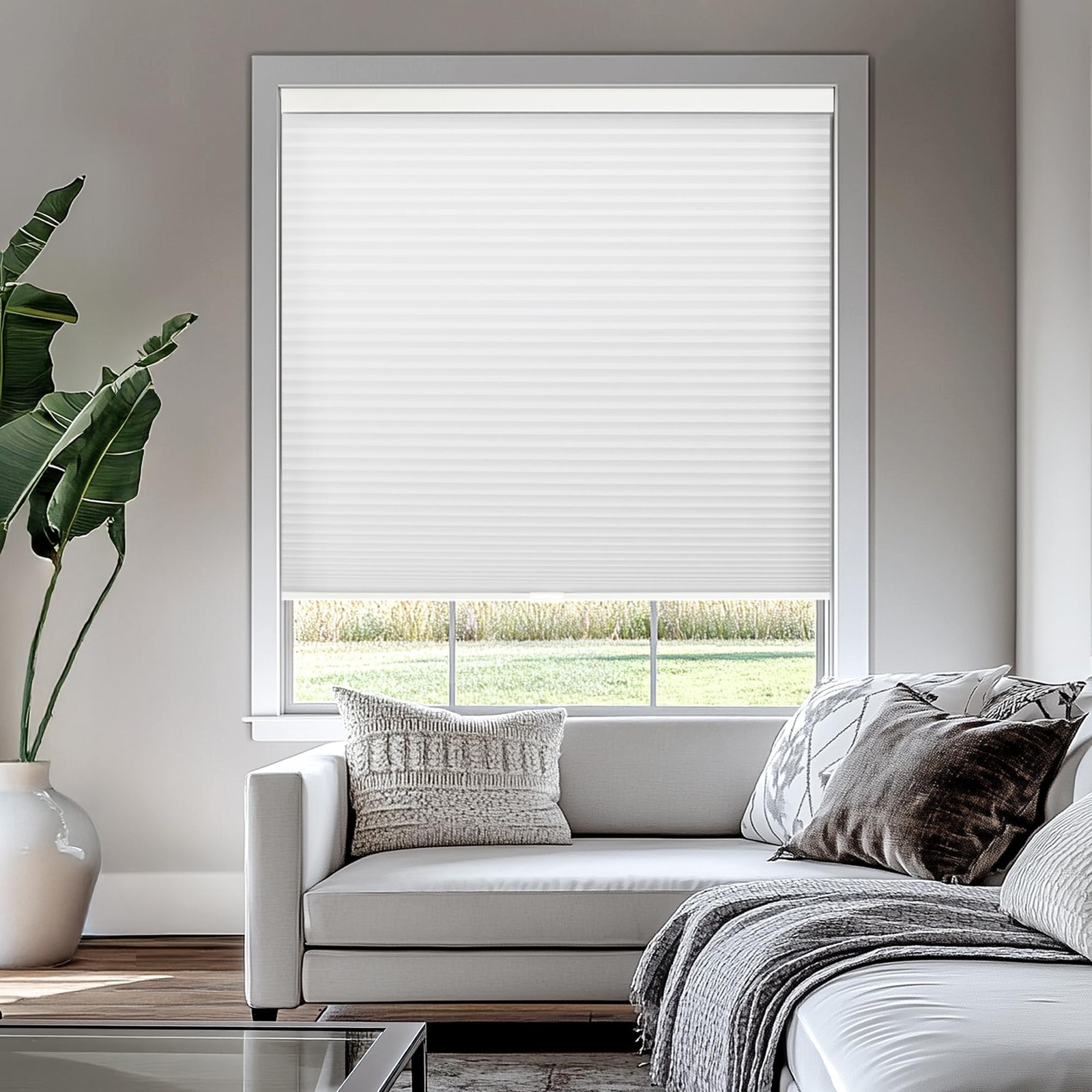 Chicology Cordless Cellular Shades, Privacy Single Cell Wind