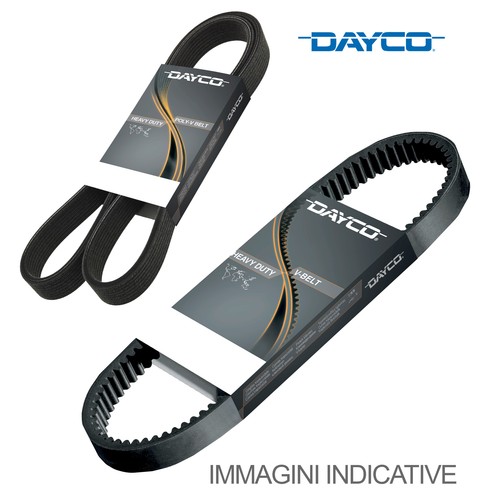 Dayco Poly-V Strap for Freightliner Condor 6PK1255HD Truck/Bus - Picture 2 of 2